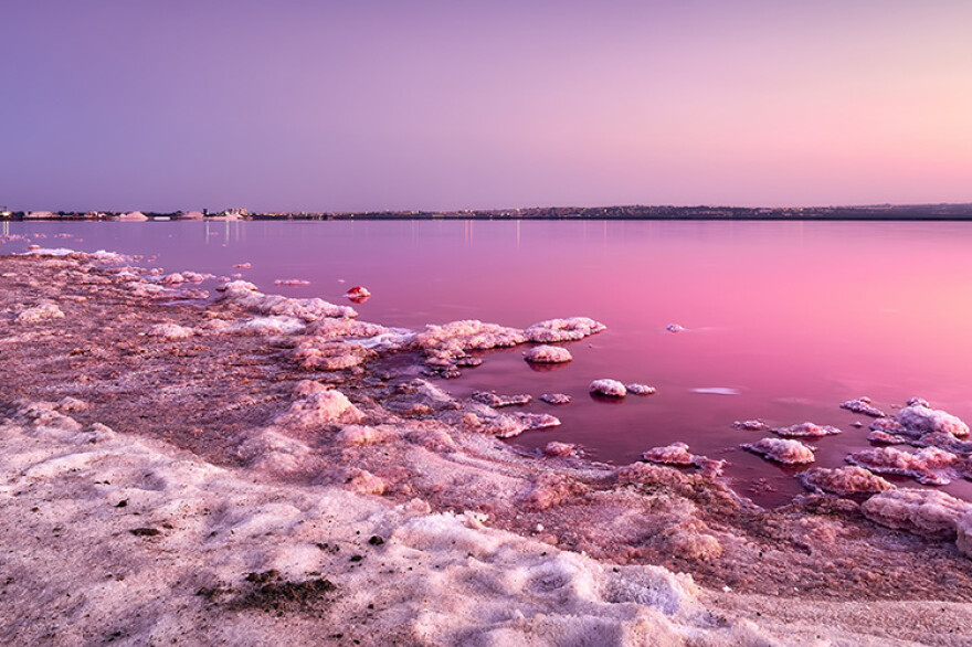 Naturpark der Lagunen von La Mata und Torrevieja