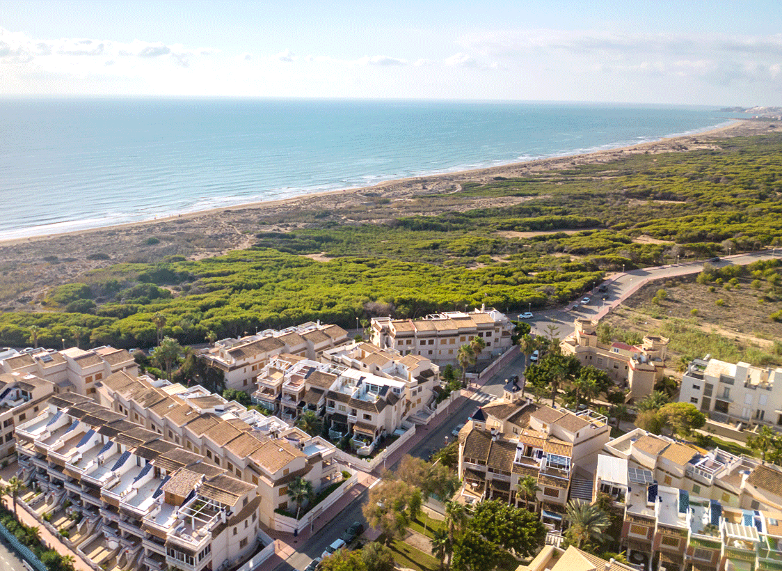 Immobilien in Guardamar del Segura